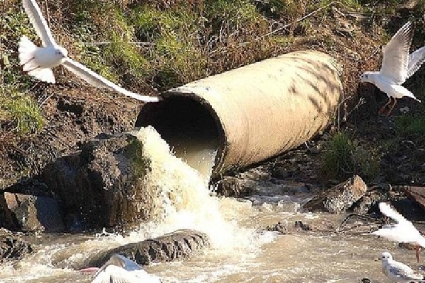 Пляж Феодосии загрязнен канализацией