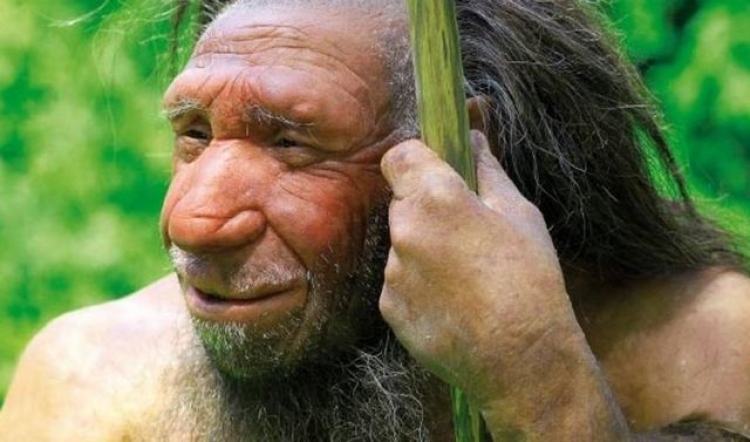 Археологи нашли зуб, который принадлежал врагу современного человека