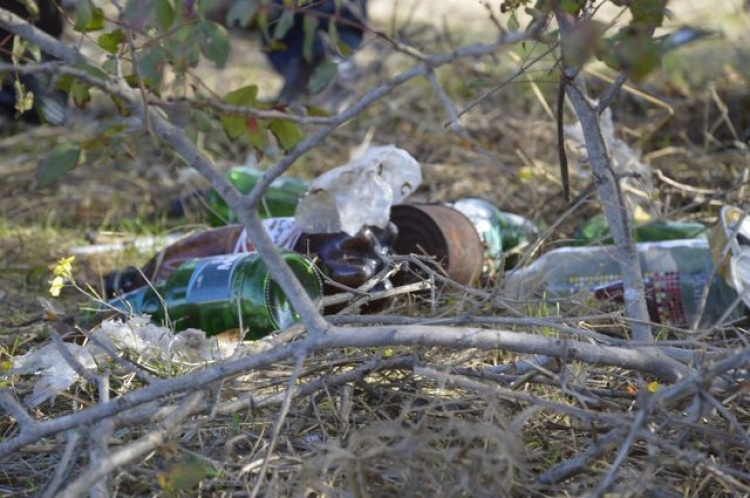 Симферопольская «администрация» провалила конкурс на уборку городских скверов