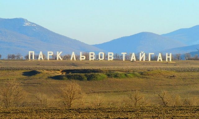 Знаменитые буквы «Парк львов Тайган» демонтируют