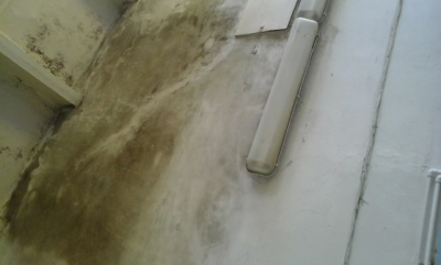 В пищеблоке детского сада в Севастополе нашли грибок