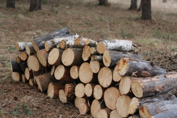Чиновников без повышения зарплаты, а жителей улицы без газа оставили депутаты в Бахчисарае