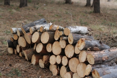 Чиновников без повышения зарплаты, а жителей улицы без газа оставили депутаты в Бахчисарае