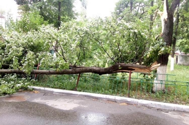 В Симферополе несколько дней ликвидировали последствия субботней непогоды