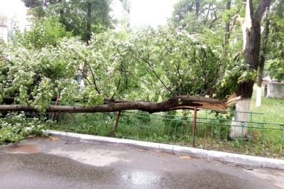 В Симферополе несколько дней ликвидировали последствия субботней непогоды
