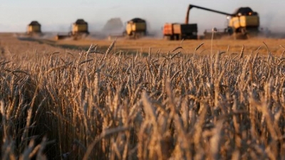 Сергей Аксенов напугал селян очередным заявлением