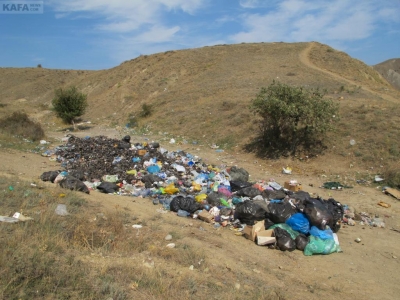 В Крыму займутся эковоспитанием