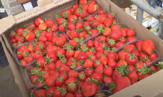 В Крыму дорожает клубника, высокие цены ожидаются и на другие ягоды и фрукты