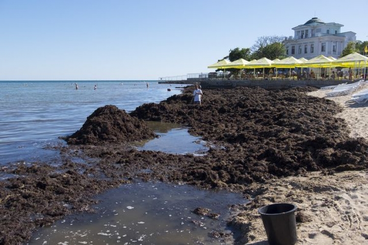 На центральный пляж Евпатории море подбросило «сюрприз»