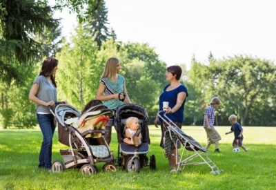 Очередной скандал в Севастополе: строительство детского сада обрадовало не всех