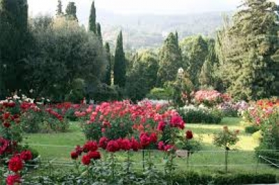 Финансовая инспекция проверила Никитский ботанический сад